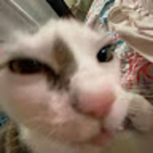 Meet your Posher, Camila